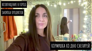 Кормушка для птиц на окно / Возвращаемся в город с каникул / Распаковка продуктов / Генералим