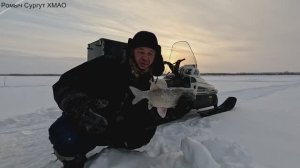 Проверка удочек. 40 день.