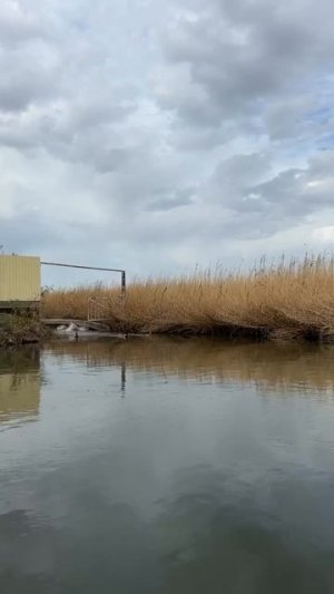 Едут добытчики 😉