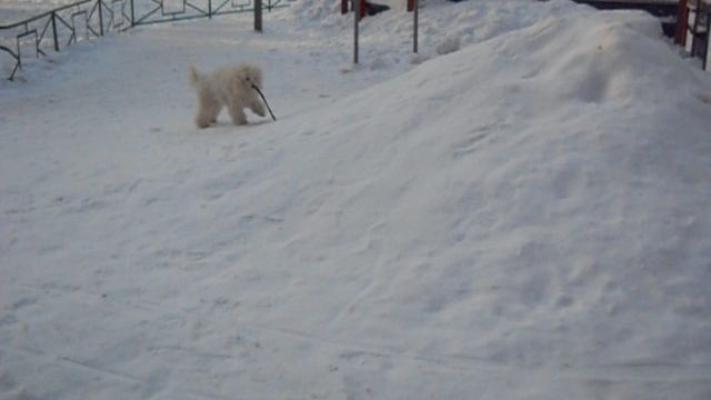 DSCN1517 смотреть онлайн