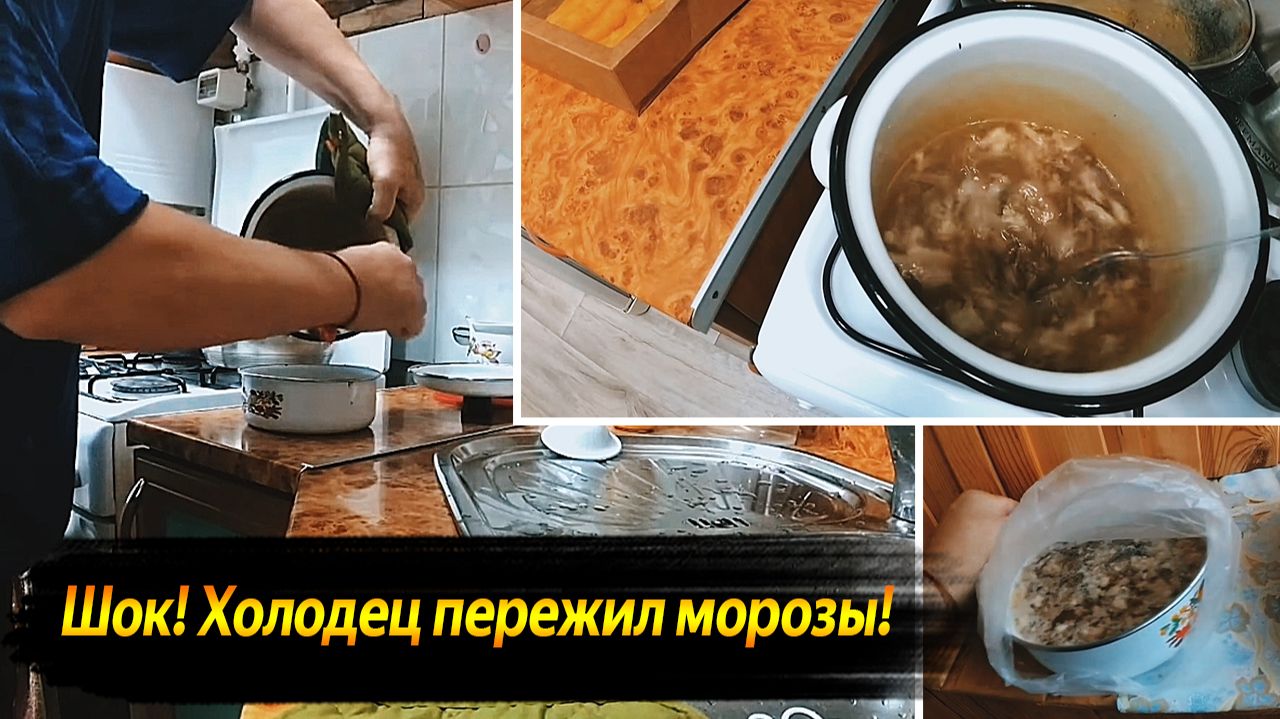 ХОЛОДЕЦ ВЫЖИЛ! МОРОЗ ЕМУ НИПОЧЕМ | ВИДЕО КАЖДЫЙ ДЕНЬ №62