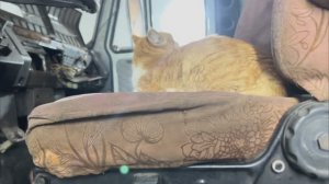 Зил с ЯМЗ почти готов)