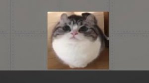 ОБЪЯВЛЕНИЕ!!