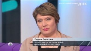 Ток-шоу ДНК 15.01.26, кто участники, какая история, что показал тест ДНК?