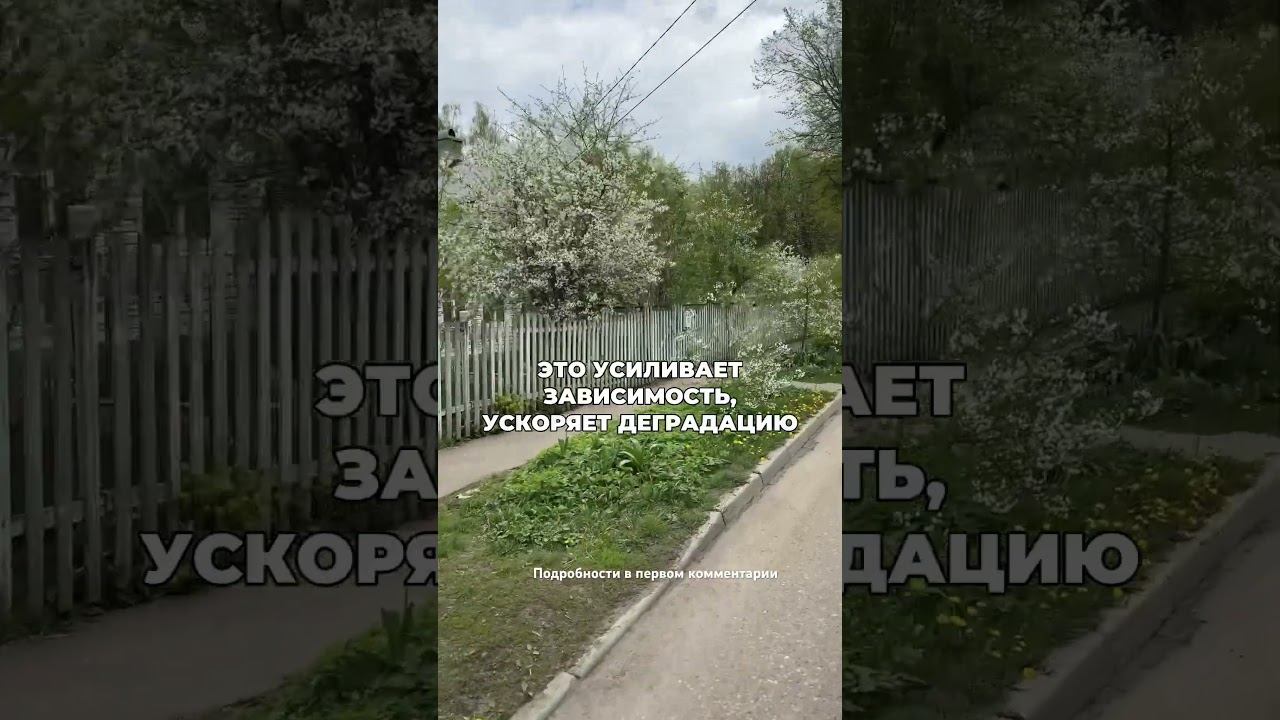 Алкоголь - это дух пожирающий тело #броситьпить #лечениеалкоголизма #какброситьпить смотреть онлайн