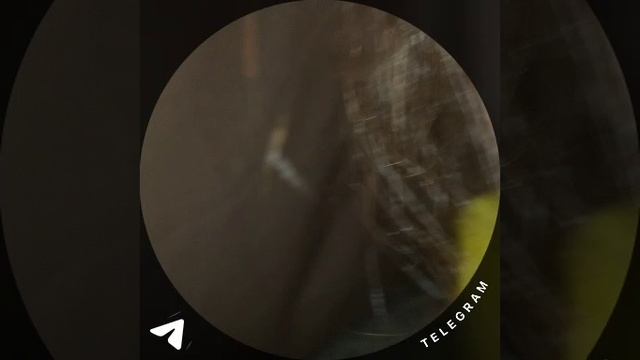 часть 4 финал смотреть онлайн