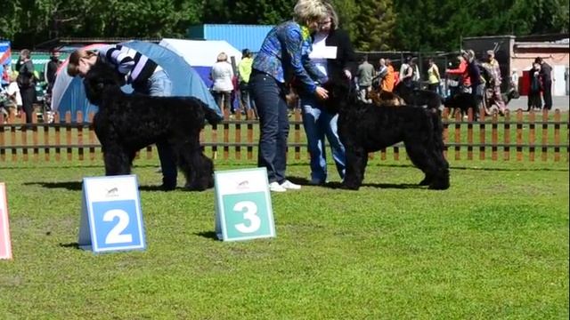 DSC_6333 смотреть онлайн