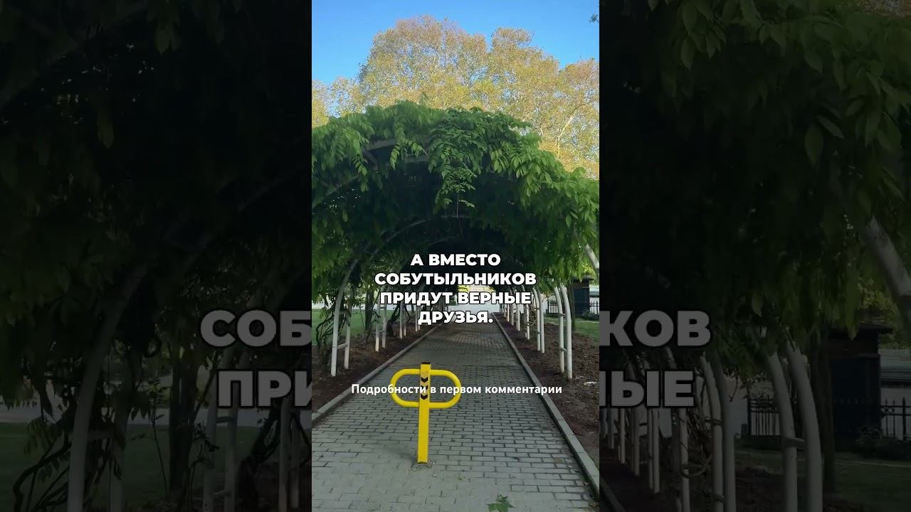 Что происходит в организме при нехватке алкоголя? #броситьпить #лечениеалкоголизма #какброситьпить смотреть онлайн