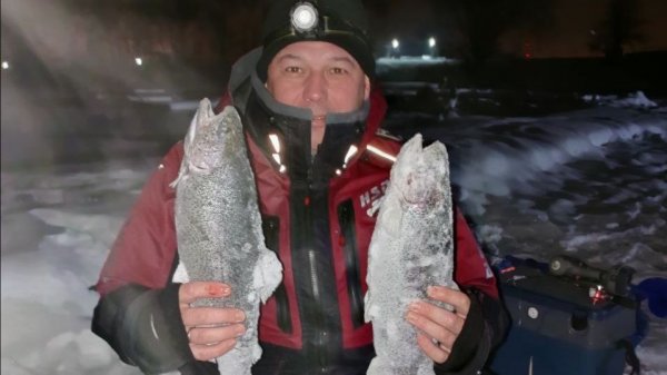 Форель на ратлин!