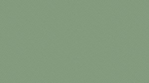 Автоматизация упаковки в шоу-бокс с wrap-around PACKTECH-25