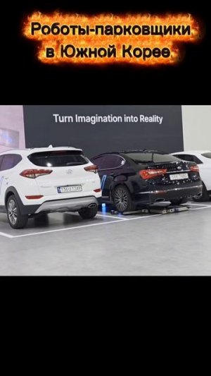 Автопарковщик