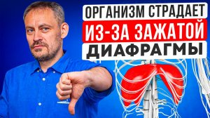 От этой МЫШЦЫ зависит ВСЁ! Как ДИАФРАГМА может исправить весь организм?