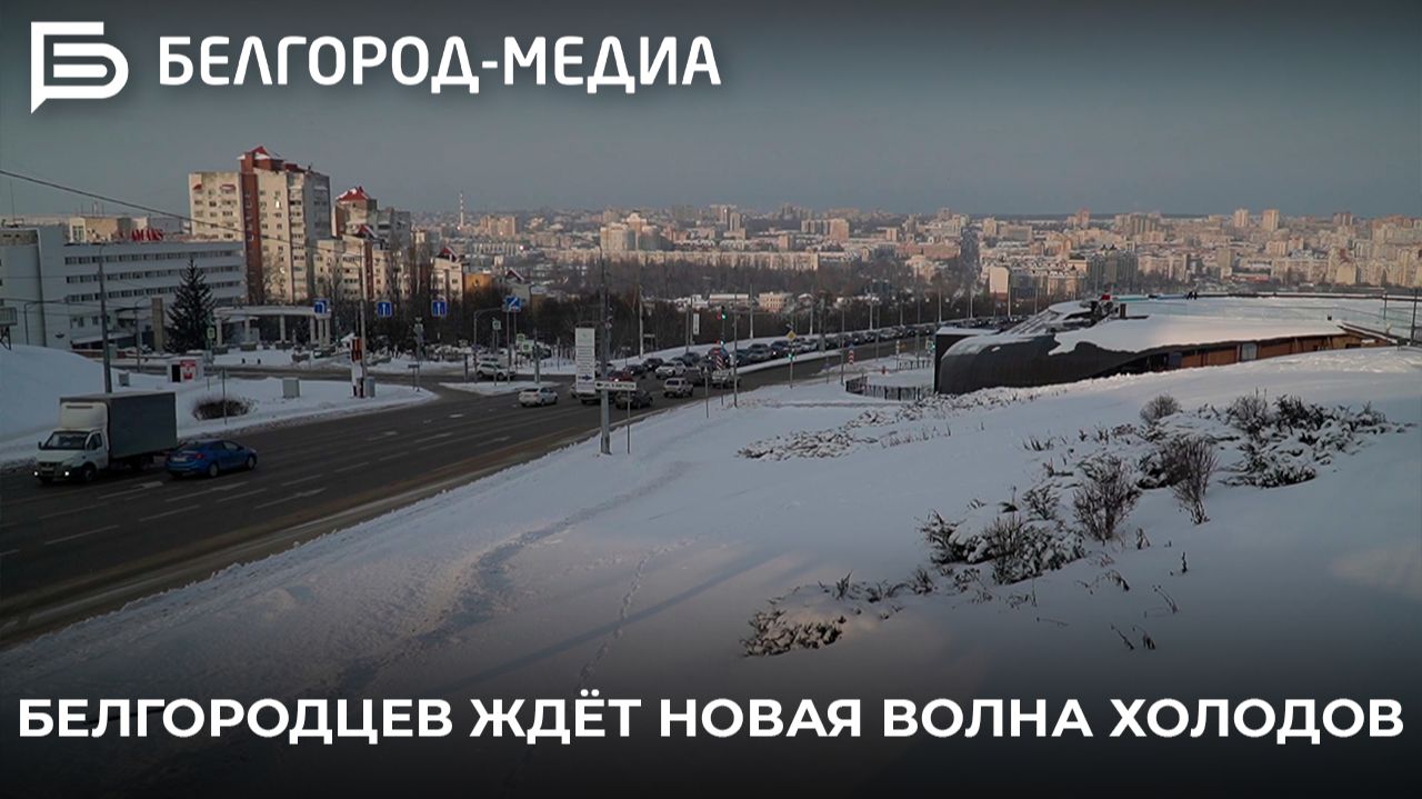 Белгородцев ждёт новая волна холодов смотреть онлайн