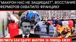 Фермеры выливают молоко и сжигают флаги ЕС в знак протеста .