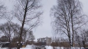 Вышла сделать фото/видеосессию шали на улице!!!