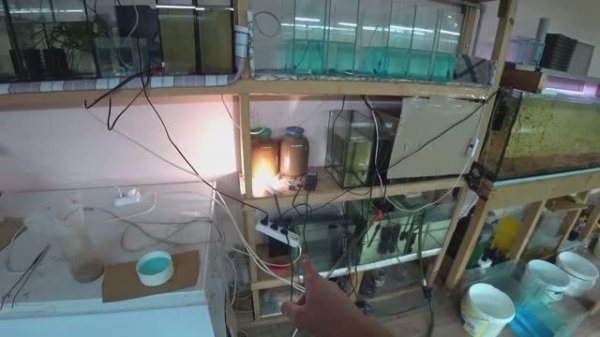 ℹ️ Новый день на разводне