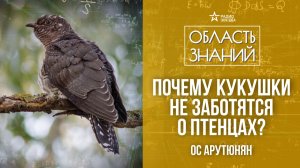 Как животные заботятся о потомстве. Лекция научного журналиста Оса Арутюняна