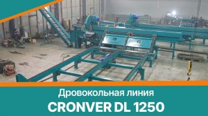 Дровокольная линия Cronver DL 1250