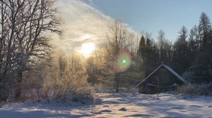 Зимние узоры природы