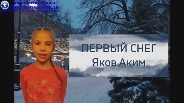 Стихотворение Первый снег - Яков Аким