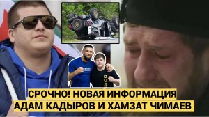 Информация о "гибели" чемпиона UFC Чимаева и Адама Кадырова в ДТП в Чечне. Где правда?