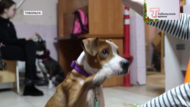 ДОМ ДЛЯ ДРУГА смотреть онлайн