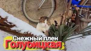 Вот тебе и переехали на Юг! Ужасно холодно, заваливает снегом #Голубицкая