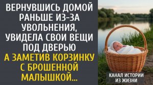Вернувшись домой раньше из-за увольнения, увидела свои вещи под дверью… А заметив корзину с малышкой