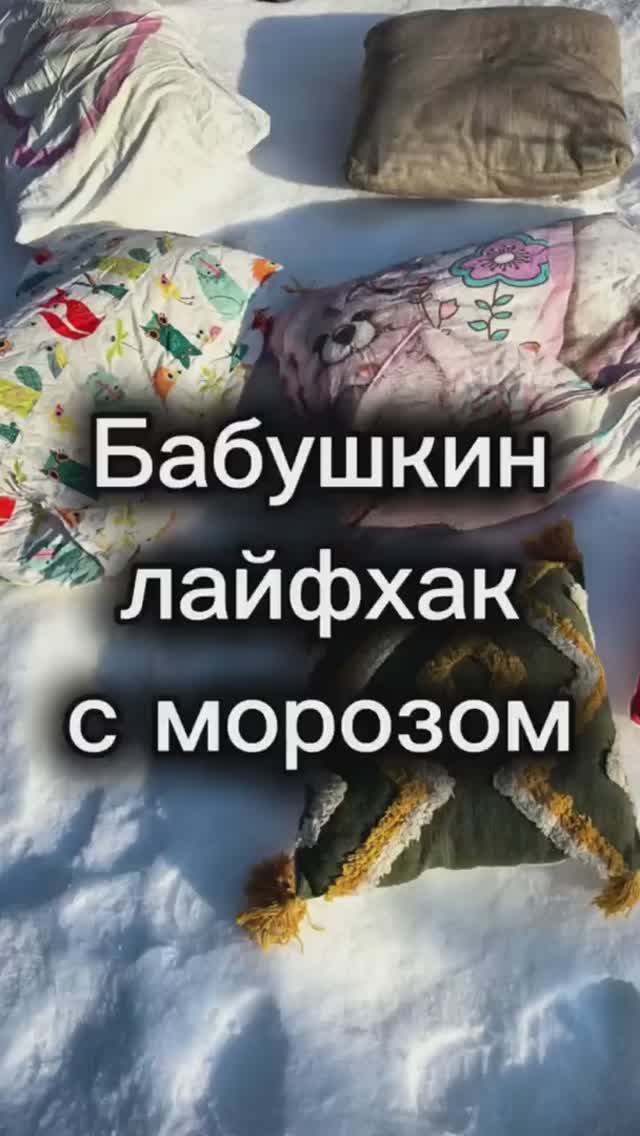 ❄️ Бабушкин лайфхак: зачем выносить подушки на мороз? смотреть онлайн