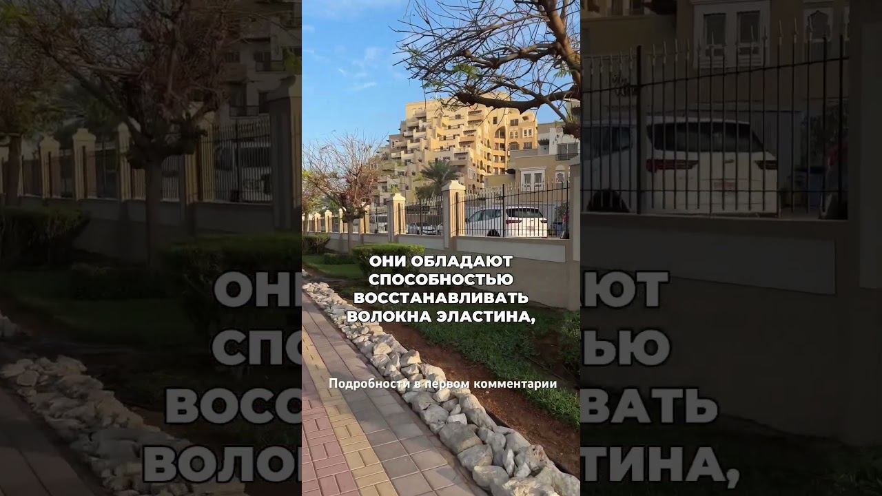 Как алкоголь ускоряет старение #броситьпить #лечениеалкоголизма #какброситьпить смотреть онлайн