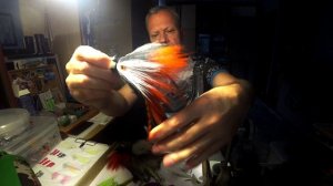 Расширена линейка бактейлов VS Mouse, серии «Baby»