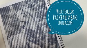 Челлендж Раскрашиваю лошадей