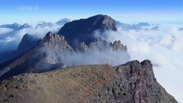 С высоты птичьего полёта смотреть онлайн