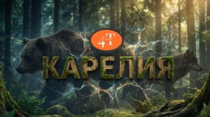 Карелия 4K | Документальный фильм о дикой природе