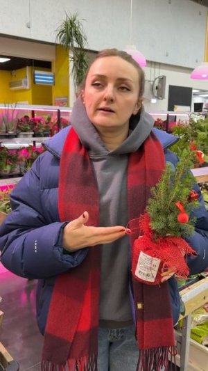 ЕЛЬ ИЗ МАГАЗИНА. ЧТО ДЕЛАТЬ