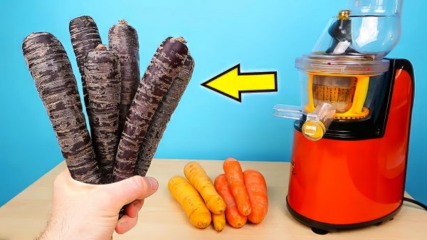 Что если выжать сок из Фиолетовой Моркови! Какой он будет на вкус alex boyko