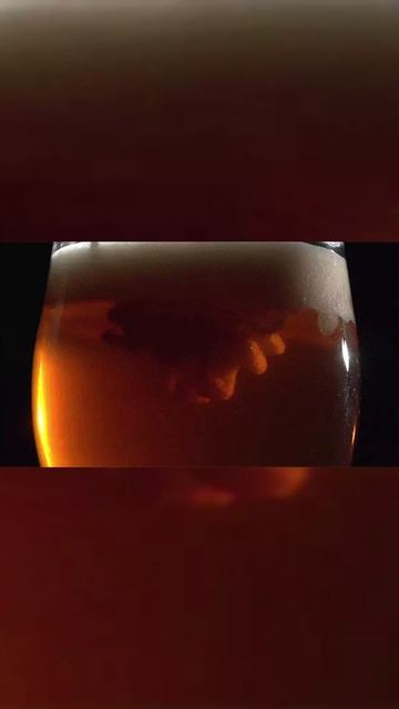 Пиво,да вяленая тарань смотреть онлайн