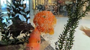 Потрясающий релакс