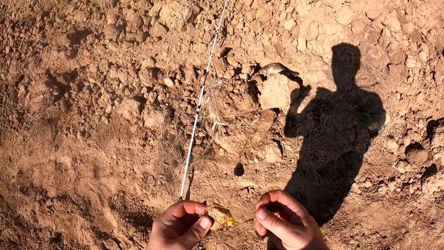 Ловля карася летом на донку смотреть онлайн