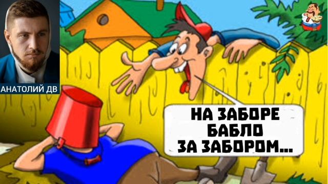 "Анатолий ДВ. НА ЗАБОРЕ БАБЛО, ЗА ЗАБОРОМ..."