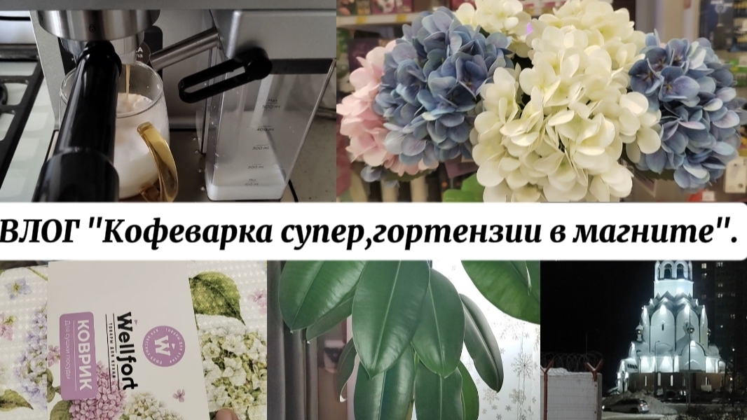 ВЛОГ "Кофеварка супер,гортензии в Магните" смотреть онлайн