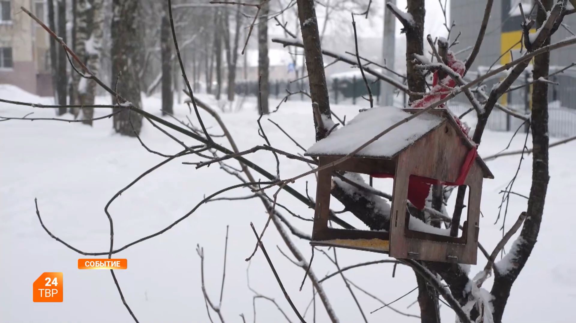 Прогноз погоды смотреть онлайн