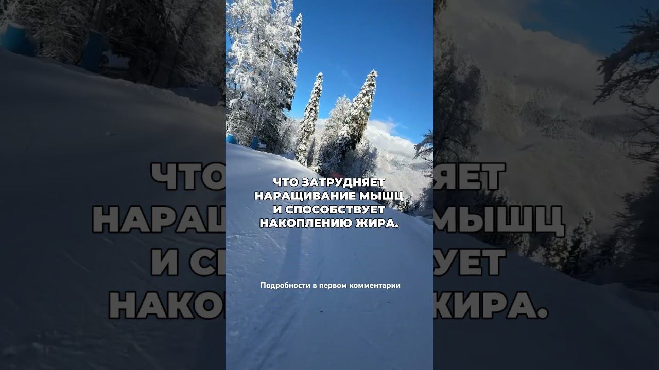 3 скрытых последствия алкоголя #броситьпить #лечениеалкоголизма #алкоголь смотреть онлайн