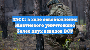 ТАСС: в ходе освобождения Жовтневого уничтожено более двух взводов ВСУ