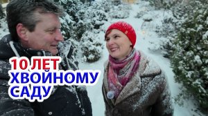 10 лет саду декоративных хвойных