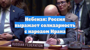 Небензя: Россия выражает солидарность с народом Ирана