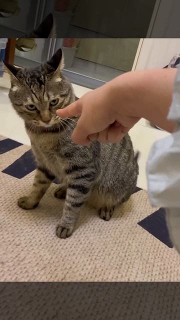 1000102550.mp4 смотреть онлайн