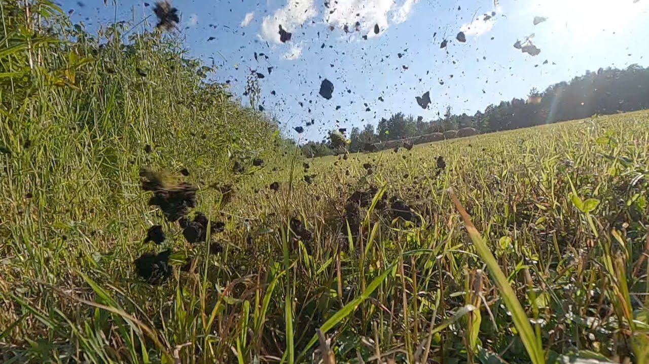 Попадание пули (5.45*39) в землю (Bullet hitting the ground) GoPro Hero 9 1920*1080 240fps