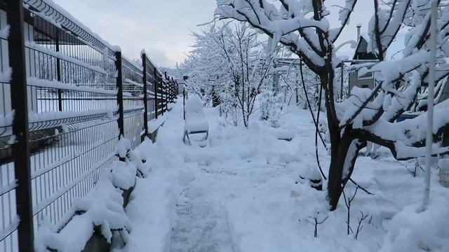 подготовка к Крещению смотреть онлайн