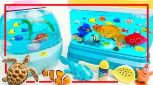 Мультики для детей. Классный набор - Веселый аквариум 🐟🐢🐡. Смотреть онлайн мультики для малышей.